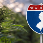 New Jersey Cannabis Market Surpasses $1 Billion in Sales for 2024, Marking Significant Growth