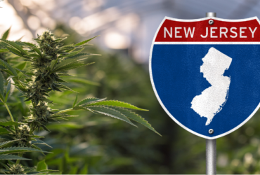 New Jersey Cannabis Market Surpasses $1 Billion in Sales for 2024, Marking Significant Growth