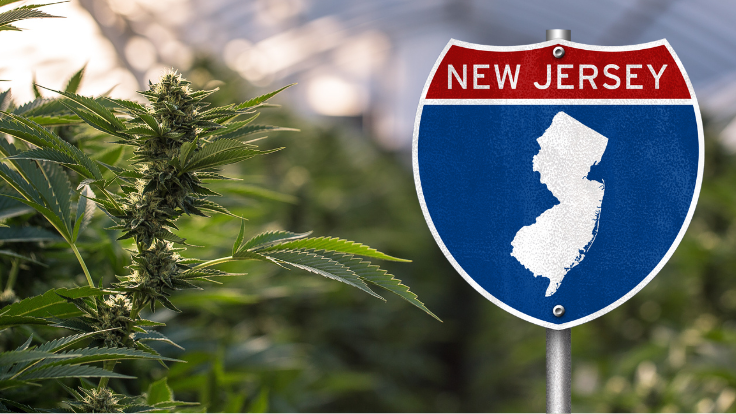 New Jersey Cannabis Market Surpasses $1 Billion in Sales for 2024, Marking Significant Growth